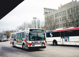 8703.jpg