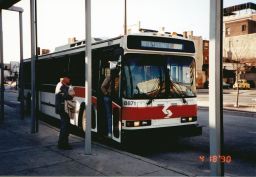 8871.jpg