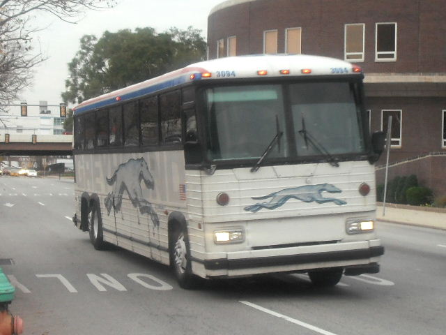 Greyhound bus
